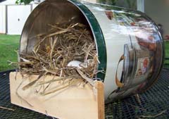 chicken-nesting-box-ideas